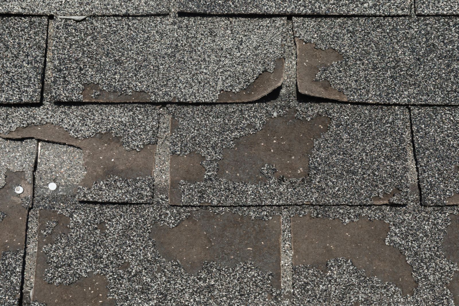 American Craftsmen Construction LLC Images